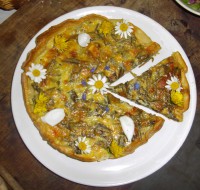/album/galerie-photos/quiche-plantain-orties-jpg/